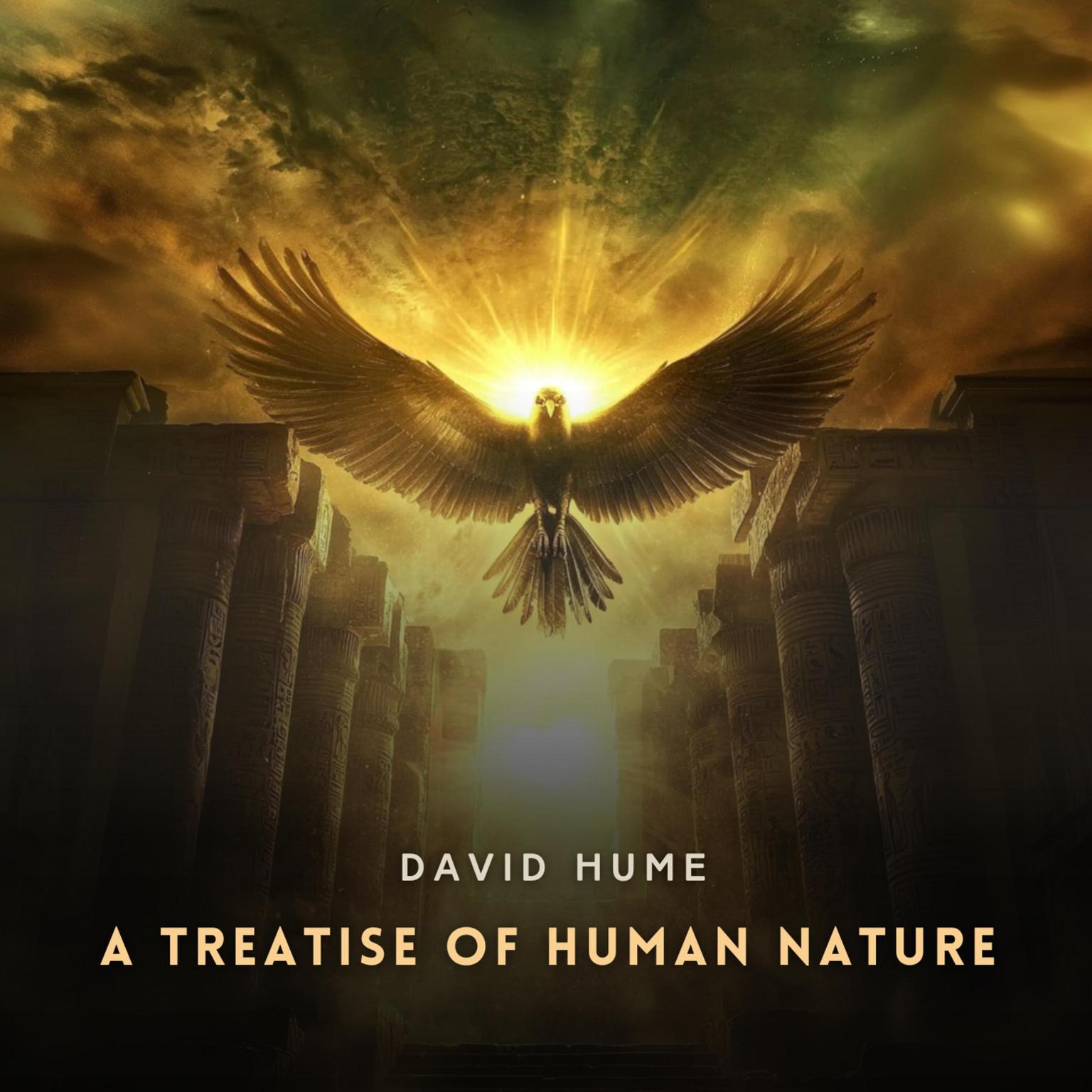 A Treatise of Human Nature Book 2 Audiobook, by David Hume