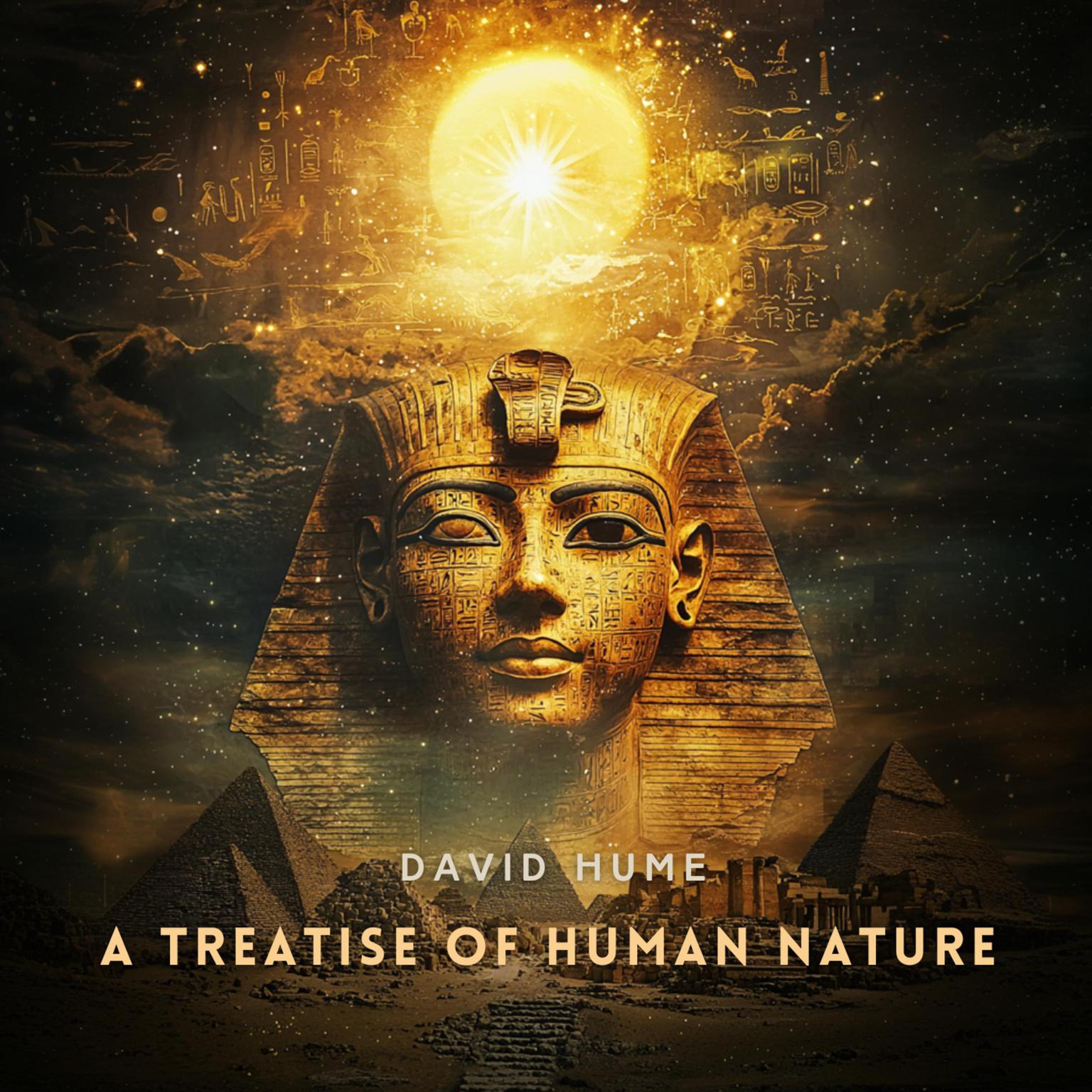 A Treatise of Human Nature Book 3 Audiobook, by David Hume