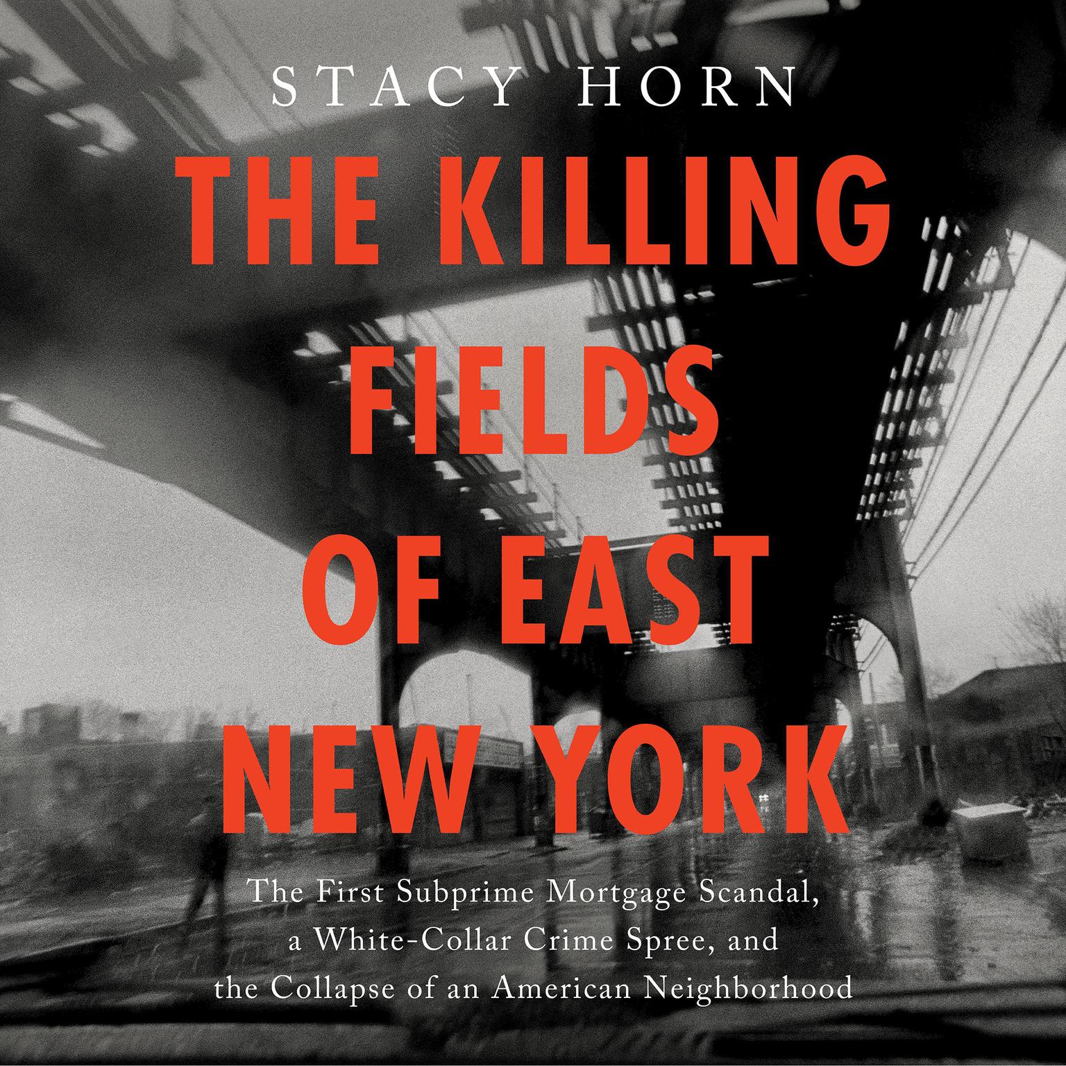 The Killing Fields of East New York: The First Subprime Mortgage Scandal, a White-Collar Crime Spree, and the Collapse of an American Neighborhood Audiobook, by Stacy Horn