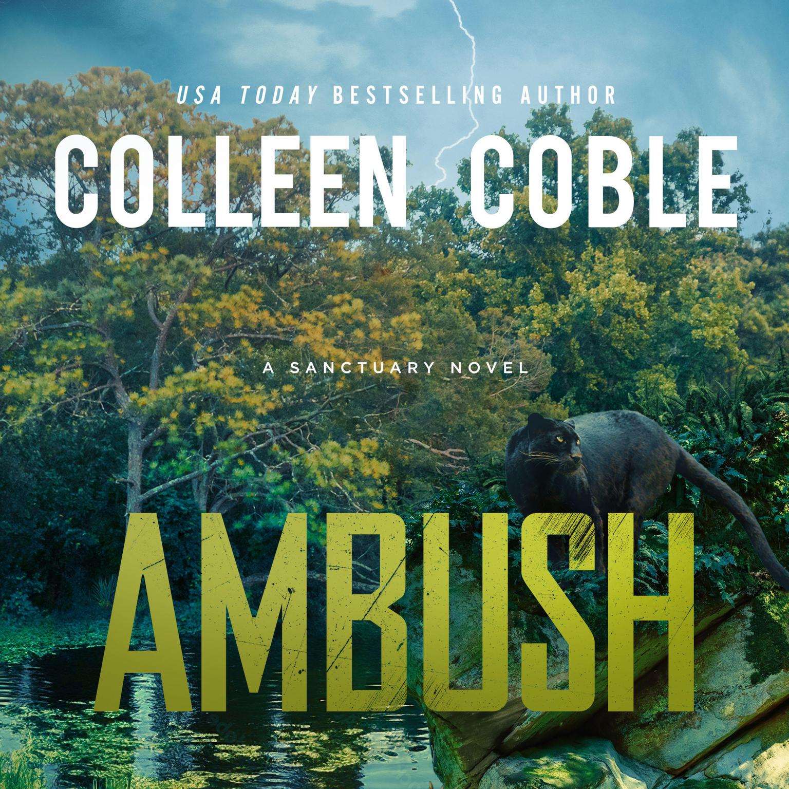 Ambush Audiobook, by Colleen Coble