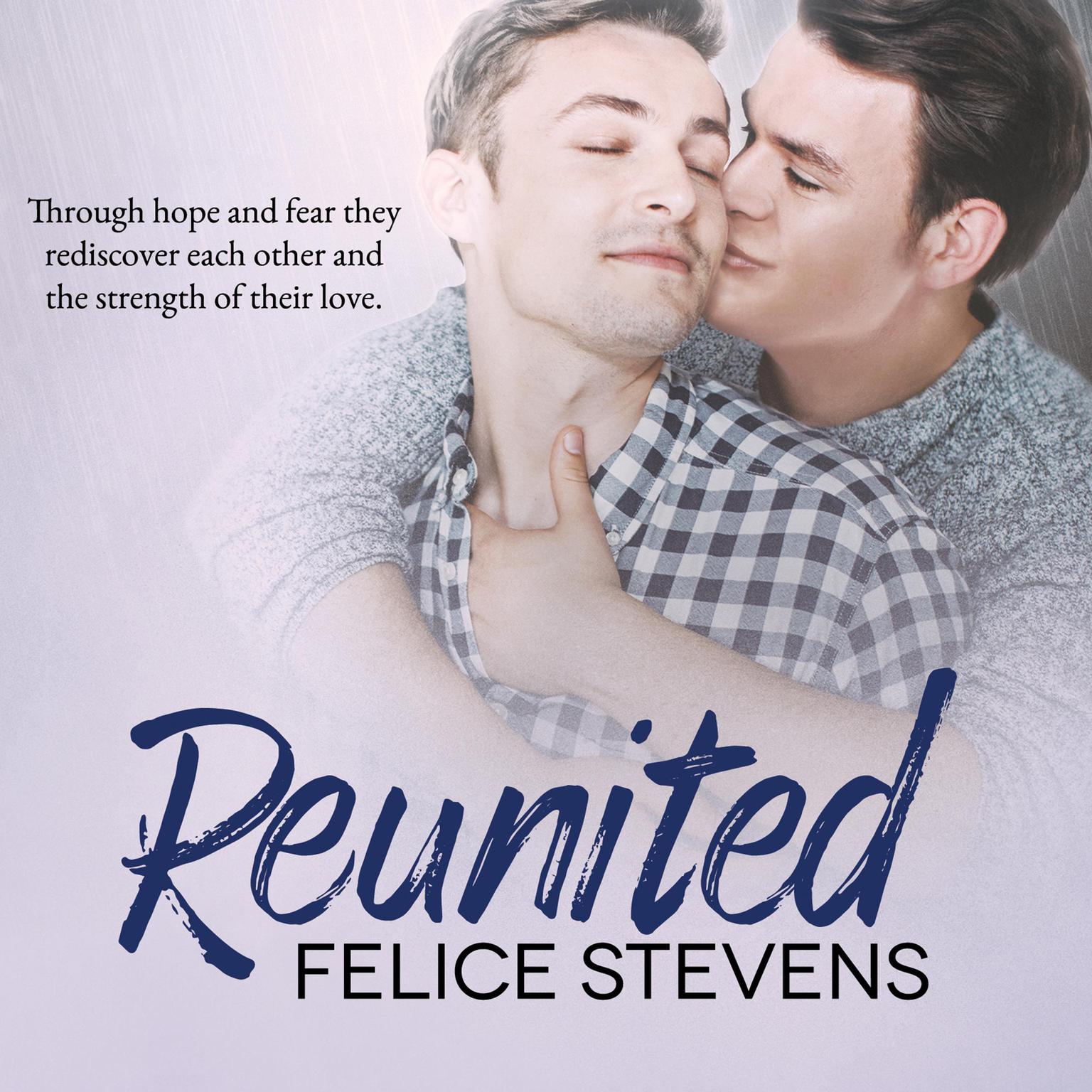 Reunited Audiobook, by Felice Stevens