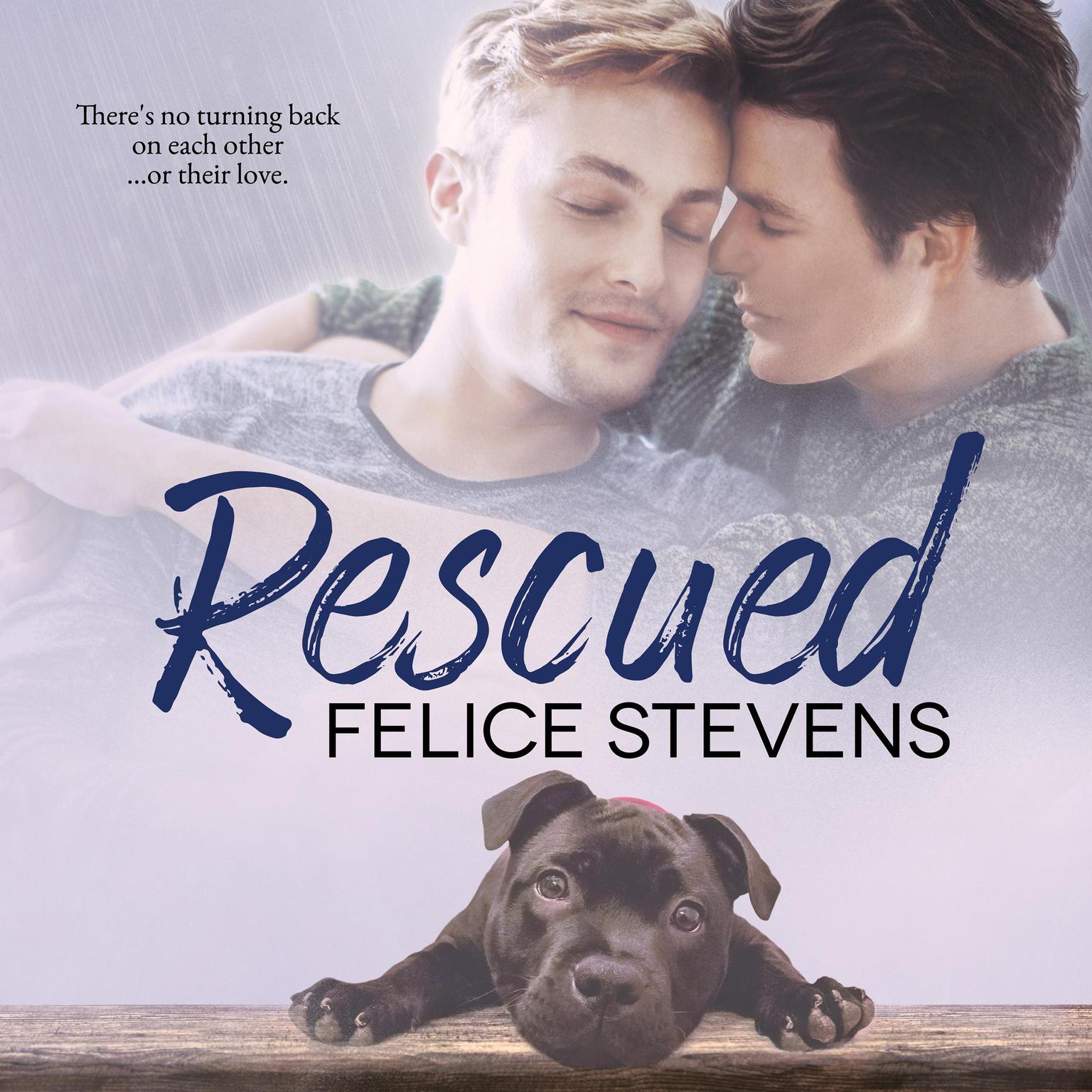 Rescued: Rescued Hearts Audiobook, by Felice Stevens