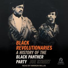 Black Revolutionaries: A History of the Black Panther Party Audibook, by Joe Street