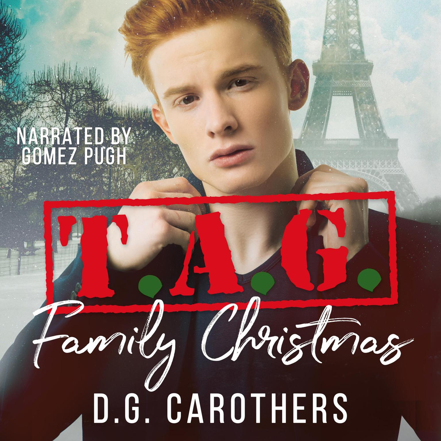 T.A.G. Family Christmas: The Assassins Guild Book Three Audiobook, by D.G. Carothers