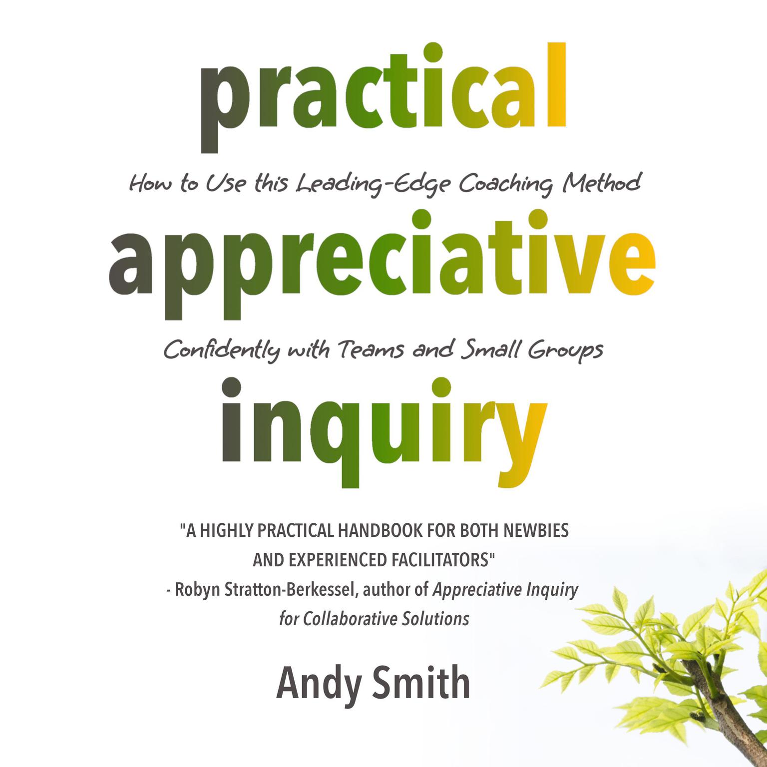 Practical Appreciative Inquiry: How to Use This Leading-Edge Coaching Method Confidently with Teams and Small Groups Audiobook, by Andy Smith