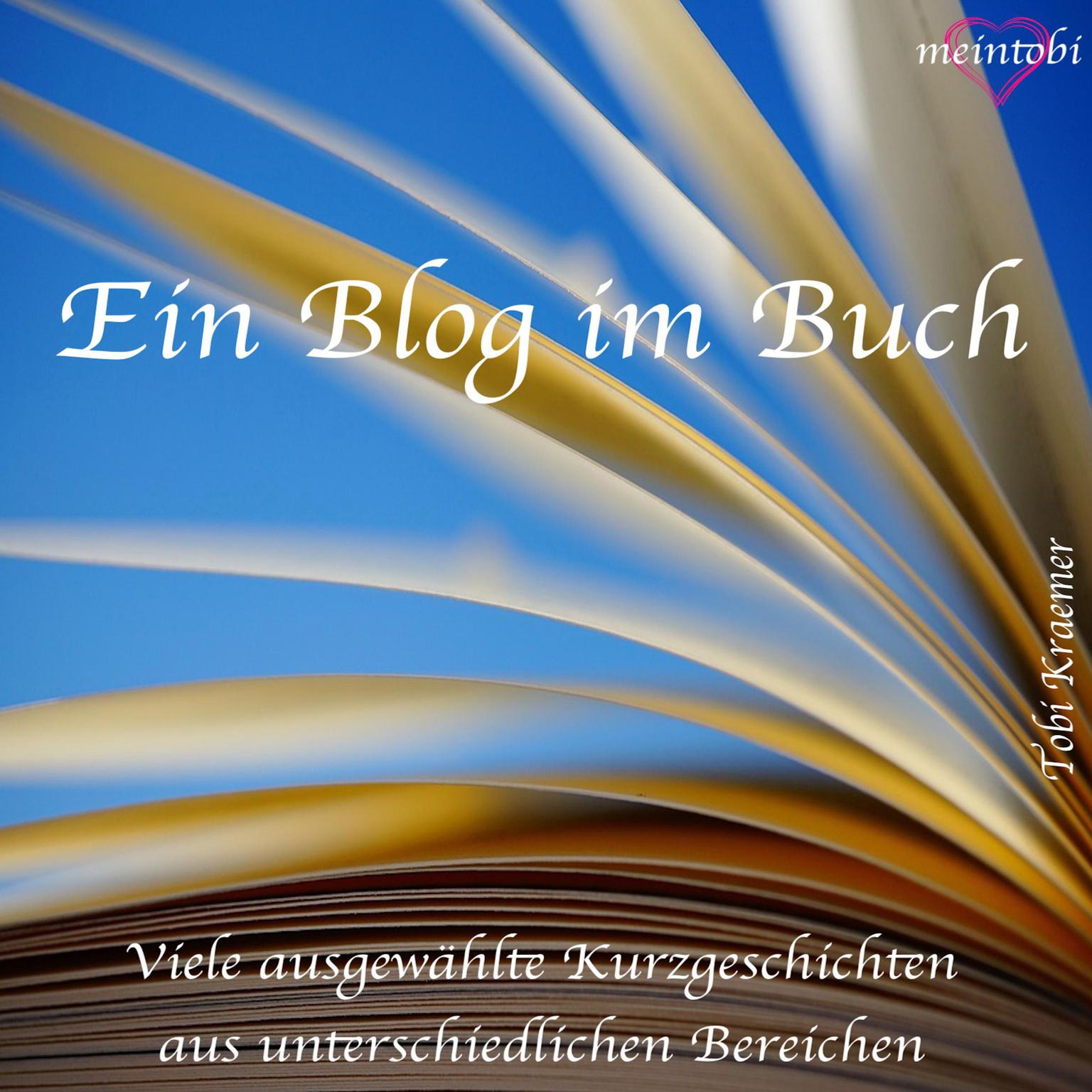 Ein Blog im Buch: Viele ausgewählte Kurzgeschichten aus unterschiedlichen Bereichen Audiobook, by Tobi Kraemer