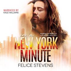 In a New York Minute Audibook, by Felice Stevens