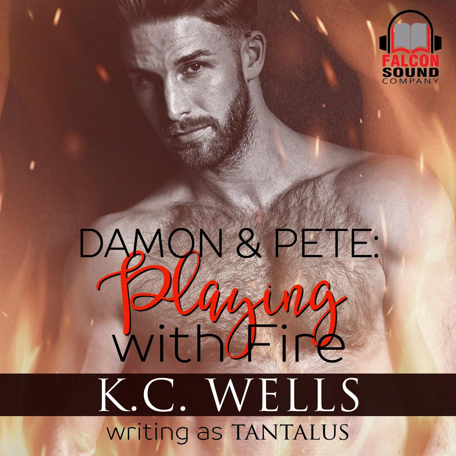 Damon & Pete: Playing with Fire Audiobook, by K.C. Wells