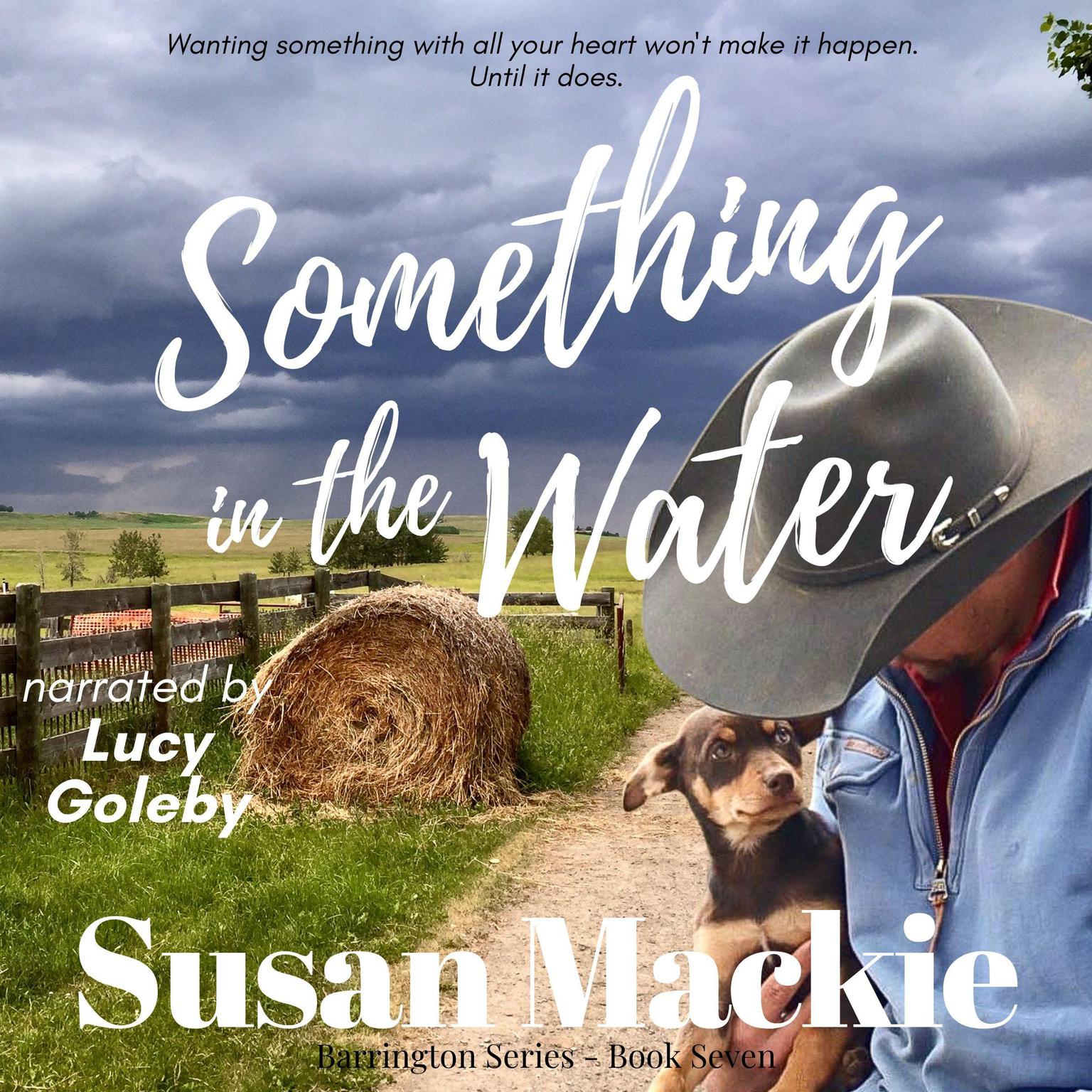 Something in the Water: Small town romance Audiobook, by Susan Mackie