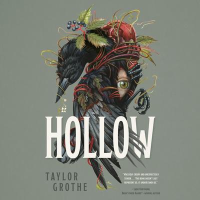 Hollow Audibook, by Taylor Grothe