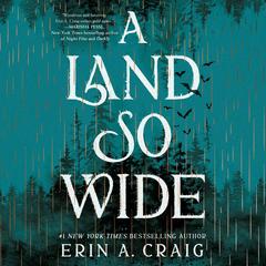 A Land So Wide: A Novel Audibook, by Erin A. Craig
