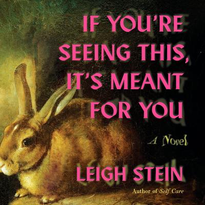 If You're Seeing This, It's Meant for You: A Novel Audibook, by Leigh Stein