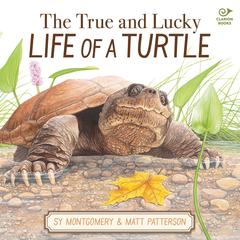 The True and Lucky Life of a Turtle Audibook, by Sy Montgomery