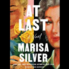 At Last Audibook, by Marisa Silver