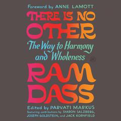There Is No Other: The Way to Harmony and Wholeness Audibook, by Ram Dass