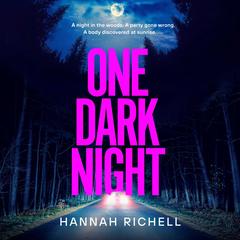 One Dark Night: A Novel Audibook, by Hannah Richell