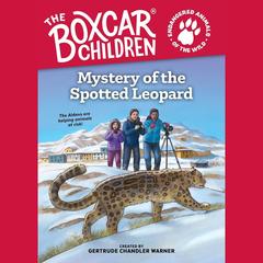 Quantum Prosperity : Accessing  Unlimited Wealth: A Realm of Infinite Potential to Attract Wealth and Abundance Audibook, by Ecnal Ver