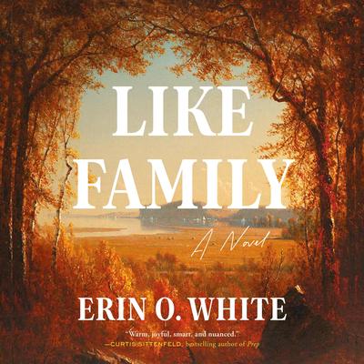 Like Family: A Novel Audibook, by Erin O. White