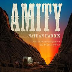 Amity: A Novel Audibook, by Nathan Harris