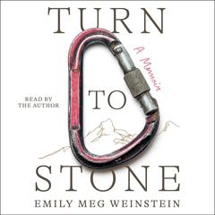 Turn to Stone: A Memoir Audibook, by Emily Meg Weinstein