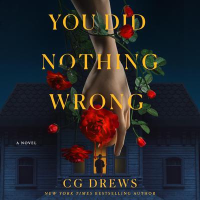 You Did Nothing Wrong: A Novel Audibook, by CG Drews