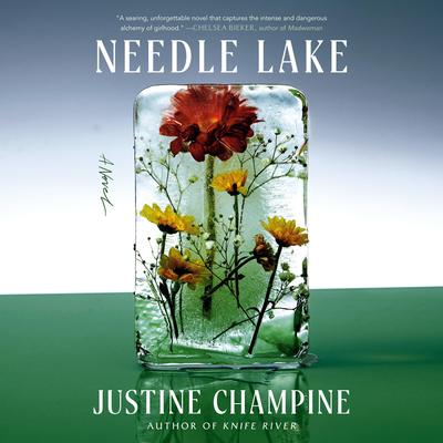 Needle Lake: A Novel Audibook, by Justine Champine