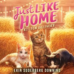 Kitten Delivery (Just like Home, Book Two) Audibook, by Erin Soderberg Downing
