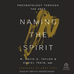 Naming the Spirit: Pneumatology Through the Arts Audibook, by W. David O. Taylor