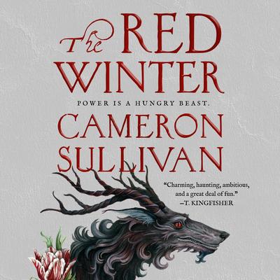 The Red Winter Audibook, by Cameron Sullivan