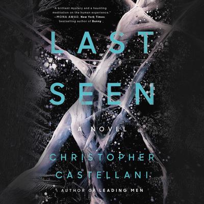 Last Seen: A Novel Audibook, by Christopher Castellani