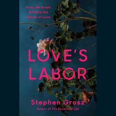 Love's Labor: How We Break and Make the Bonds of Love Audibook, by Stephen Grosz