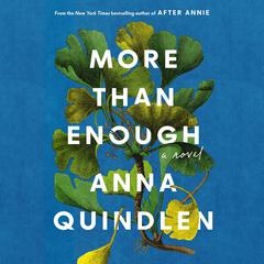 More Than Enough: A Novel Audibook, by 