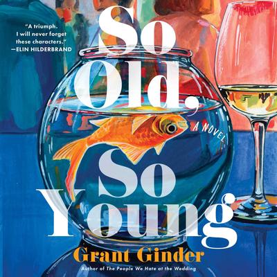 So Old, So Young: A Novel Audibook, by Grant Ginder