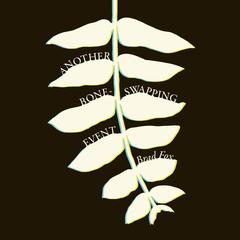 Another Bone-Swapping Event Audibook, by Brad Fox