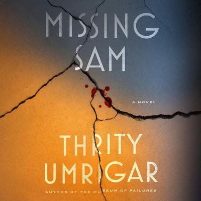 Missing Sam: A Novel Audibook, by Thrity Umrigar