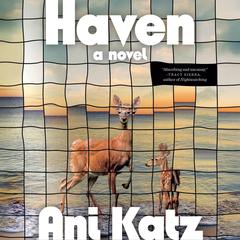 Haven: A Novel Audibook, by Ani Katz