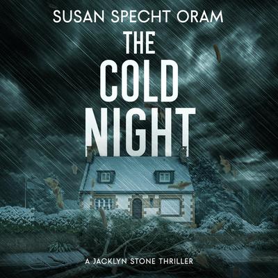 Cold Night, The: A Jacklyn Stone Thriller Audibook, by Susan Sprecht Oram