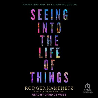 Seeing into the Life of Things: Imagination and the Sacred Encounter Audibook, by Rodger Kamenetz