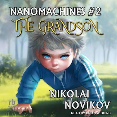 The Grandson Audibook, by Nikolai Novikov