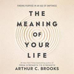 The Meaning of Your Life: Finding Purpose in an Age of Emptiness Audibook, by Arthur C. Brooks