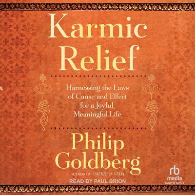Karmic Relief: Harnessing the Laws of Cause and Effect for a Joyful, Meaningful Life Audibook, by Philip Goldberg