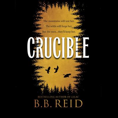 Crucible Audibook, by B.B. Reid