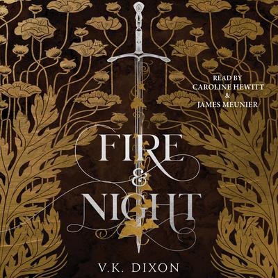 Fire & Night Audibook, by V.K Dixon