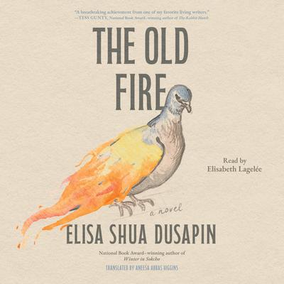 The Old Fire: A Novel Audibook, by Elisa Shua Dusapin
