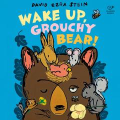Wake Up, Grouchy Bear! Audibook, by David Ezra Stein
