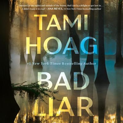 Bad Liar: A Novel Audibook, by Tami Hoag