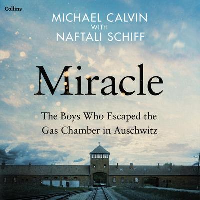 Miracle: The Boys Who Escaped the Gas Chamber at Auschwitz Audibook, by Michael Calvin
