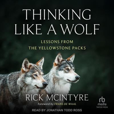 Thinking Like a Wolf: Lessons From the Yellowstone Packs Audibook, by Rick McIntyre
