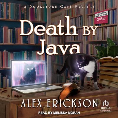 Death by Java Audibook, by Alex Erickson