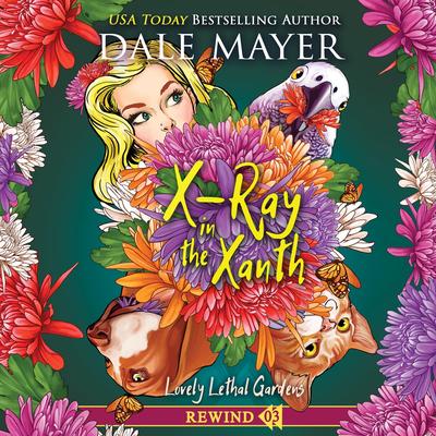 X-Ray in the Xanth Audibook, by Dale Mayer